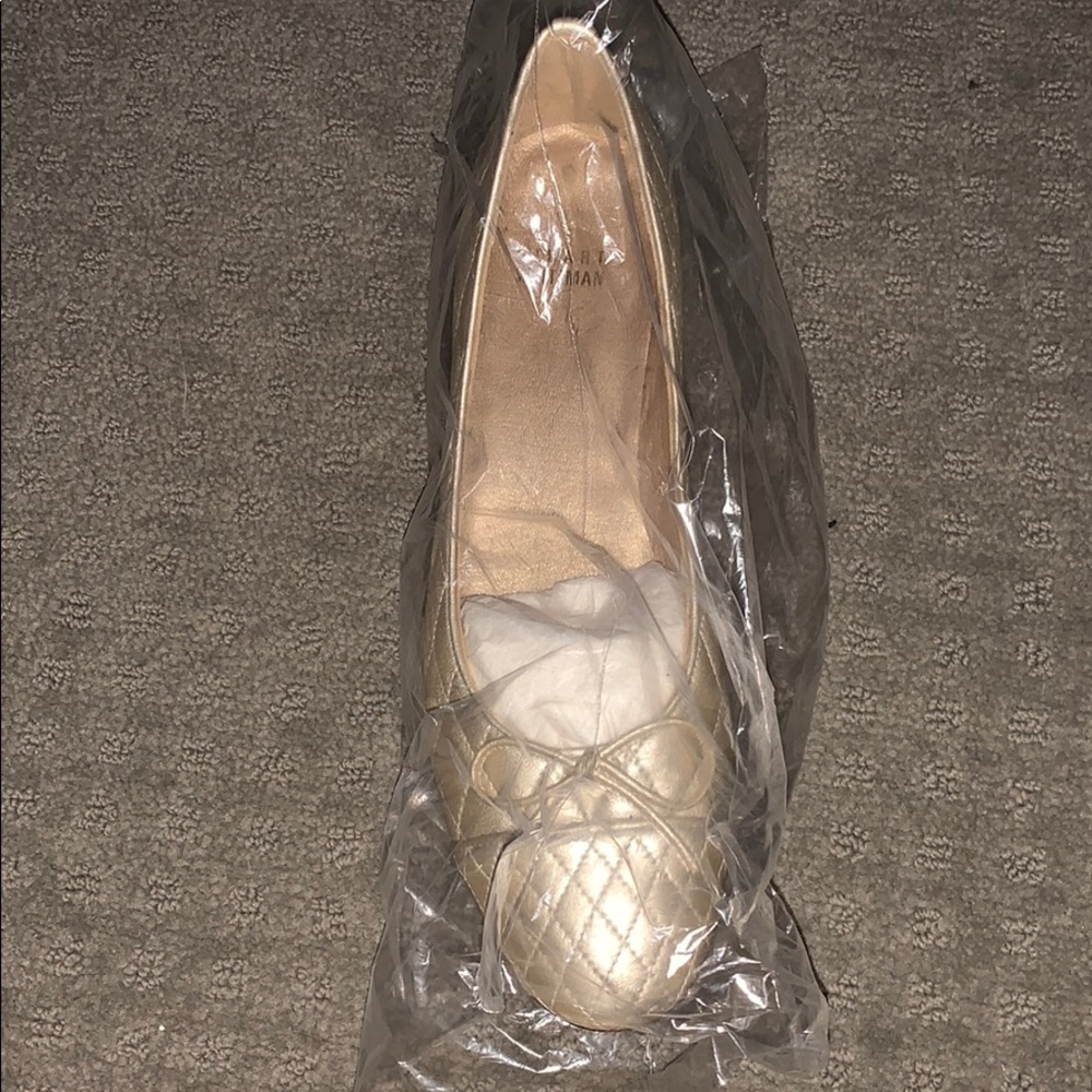 Stuart Weitzman flats